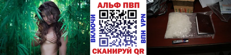 МЕГА онион  Костомукша  Альфа ПВП СК КРИС 