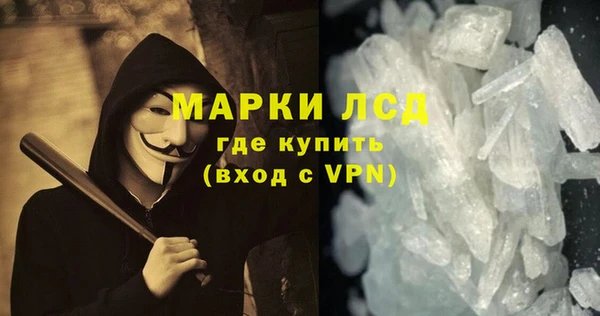 гидра Богородицк