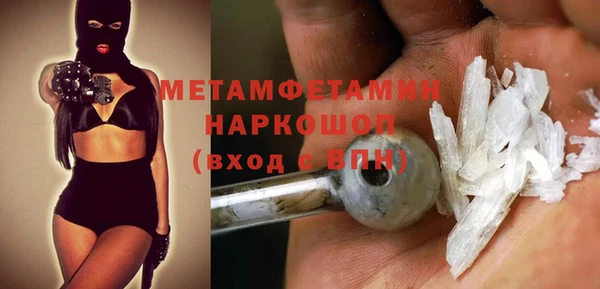 гидра Богородицк