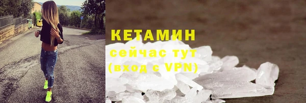 гидра Богородицк