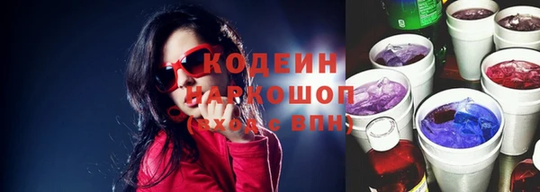 гидра Богородицк