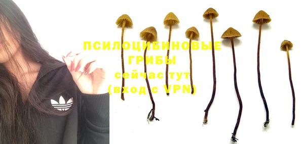 гидра Богородицк