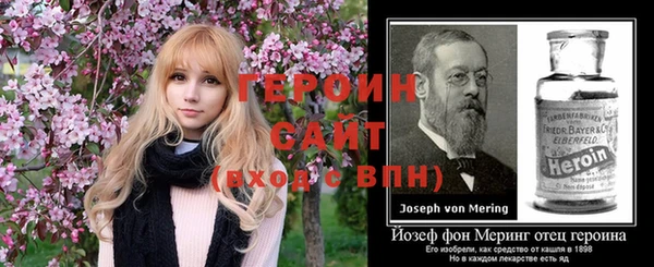 гидра Богородицк