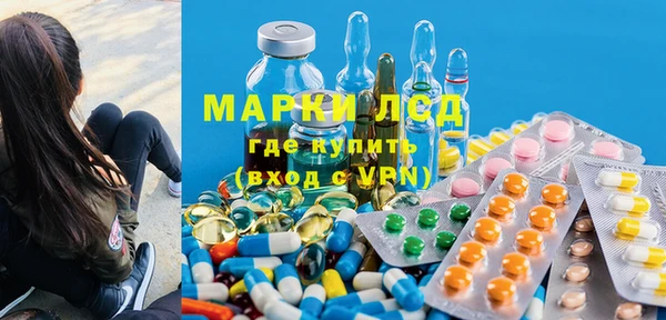гидра Богородицк