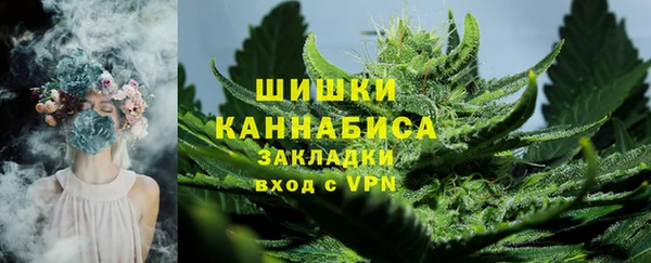 гидра Богородицк