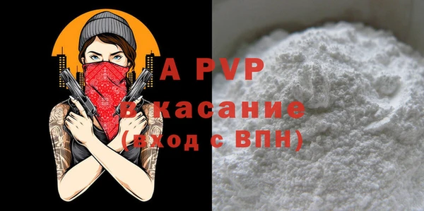 гидра Богородицк