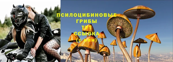 гидра Богородицк