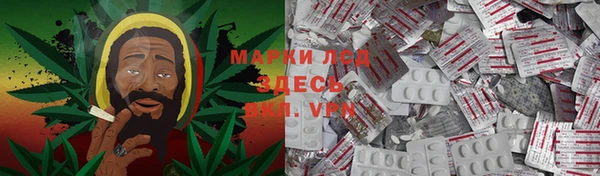гидра Богородицк