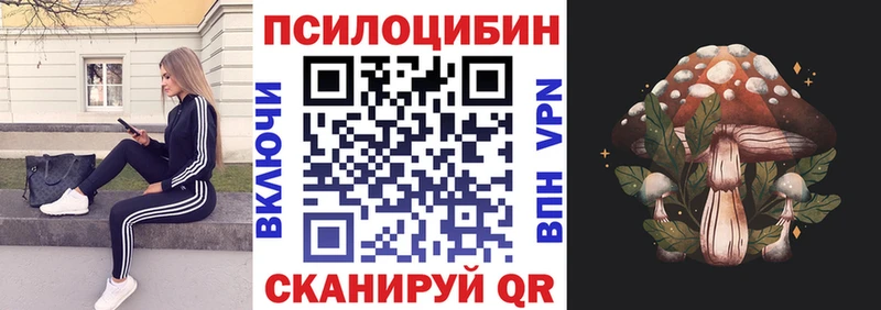 KRAKEN ссылки  Костомукша  Галлюциногенные грибы MAGIC MUSHROOMS  где продают наркотики 